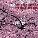 ���� �����, ������, 53 ���� - ��������� 19 ���� 2014 � ������ ������ ��������