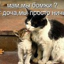 ���� �����, �������, 52 ���� - ��������� 4 ���� 2014 � ������ ������ ��������