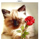 ���� ��������, ���� - ��������� 30 ���� 2014 � ������ ������ ��������