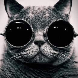 ���� ��������� Sanches, ������, 45 ��� - ��������� 2 ������� 2014