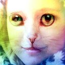 ���� �����, ������, 25 ��� - ��������� 12 ��� 2014 � ������ ������ ��������