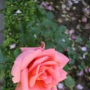 ���� �����, ������ �������� - ��������� 28 ���� 2014 � ������ �2014 ��