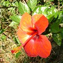 ���� ����, �����-��������� - ��������� 22 ������ 2014 � ������ ���� ����������