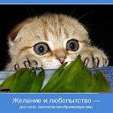 ���� ��������, ������, 66 ��� - ��������� 7 ���� 2014 � ������ ������ ��������