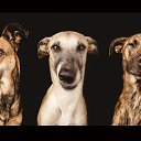 ���� Winter, ���� - ��������� 23 ���� 2014 � ������ ������ ��������