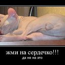 ���� ������, ���������, 48 ��� - ��������� 20 ������� 2014 � ������ ������ ��������