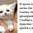 ���� �������, ������������, 57 ��� - ��������� 29 ���� 2014 � ������ ������ ��������