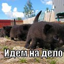���� *����, ��������, 59 ��� - ��������� 6 ���� 2014 � ������ ������ ��������