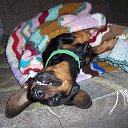 ���� �����, ��������� - ��������� 21 ��� 2014 � ������ ���� ����������