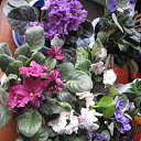 ���� �����, ������ �������� - ��������� 22 ����� 2014 � ������ �������