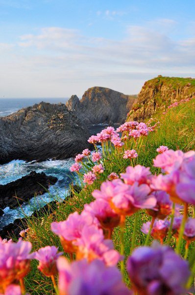   : http://fotostrana.ru/public/233467 ;-) Ardmalin, Donegal, Ireland