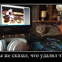   (), , 39  -  10  2014    