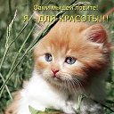 ���� �����, ������ - ��������� 23 ��� 2014 � ������ ������ ��������