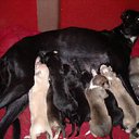 ���� ���������, ��������, 45 ��� - ��������� 12 ���� 2014 � ������ ������߻