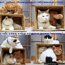  Marina,  -  18  2014    