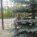���� ��������, ������������, 45 ��� - ��������� 15 ������� 2014 � ������ ���� ����������