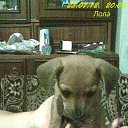 ��� �� ���� ����� �� ����, ������ ��������� �� �����))) �� ������� �����