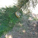 ���� �, ������� - ��������� 4 ������� 2014 � ������ �!!!�