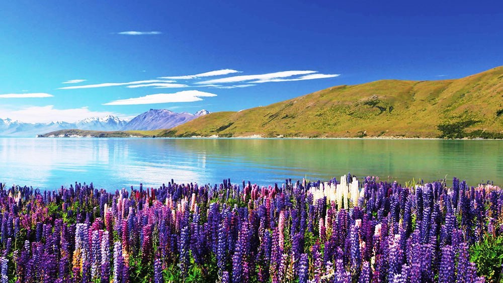        (Lake Tekapo).    (Lake ... - 6