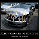���� ��������, ������������, 61 ��� - ��������� 19 ������� 2014 � ������ ������ ��������