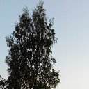 ���� Sviatlana, ���������� - ��������� 8 ���� 2014 � ������ ��������