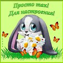 ���� �������, ���������, 60 ��� - ��������� 10 ������ 2014 � ������ ���� ����������