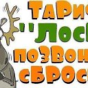 ���� �������, ���������, 48 ��� - ��������� 20 ������ 2014 � ������ ������ ��������