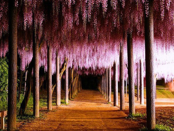 ���� - 6 ��� 2014 � 20:27