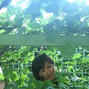 ���� �����, �����-���������, 57 ��� - ��������� 17 ���� 2014 � ������ ����� 2014�