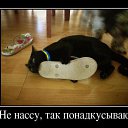 ���� �������, ��������, 50 ��� - ��������� 12 ������� 2014 � ������ ������ ��������