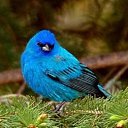 ���� �����, ������, 39 ��� - ��������� 30 ���� 2014 � ������ ������ ��������
