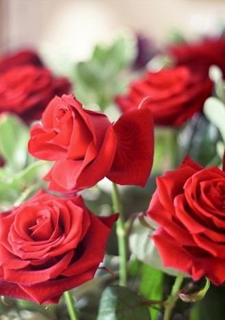        ,         .   ... - 8