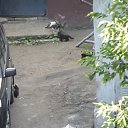 ���� Don Romerito, ���, 42 ���� - ��������� 24 ���� 2014 � ������ ���� ����������
