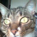 ���� ���, ������ �����, 53 ���� - ��������� 25 ��� 2014 � ������ ������