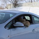 ���� �����, ��������, 56 ��� - ��������� 7 ��� 2014
