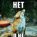 ���� �������, ��������-��-������, 48 ��� - ��������� 24 ���� 2014 � ������ ������ ��������