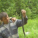 ���� ������, ����������, 60 ��� - ��������� 16 ������ 2014 � ������ ���� ����������