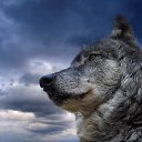  / /,  -  22  2014    ר , ? .... .