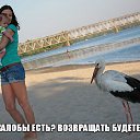 ���� ������, ������ - ��������� 12 ������� 2014 � ������ ���� ����������