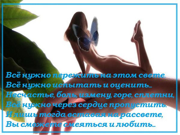  - 14  2014  23:49