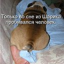 ���� ������, �������� - ��������� 22 ���� 2014 � ������ ������ ��������