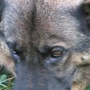  Andrus, , 63  -  21  2014    