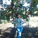 ���� ��������, ������, 50 ��� - ��������� 31 ����� 2014 � ������ ���� ����������