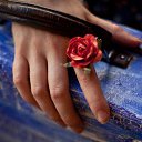 ���� ����, ������, 67 ��� - ��������� 9 ���� 2014 � ������ ������ ��������