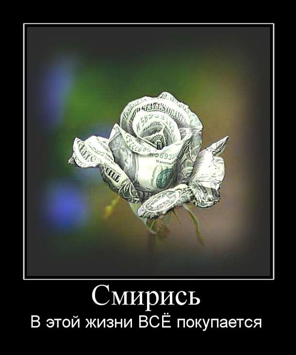  - 7  2014  20:43