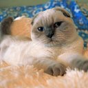 Rafaella Bell Florance �� ������� ���� ����������