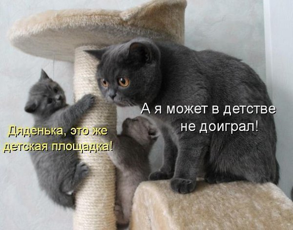 ������ - 13 ���� 2014 � 14:40