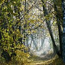 ����� � ��������