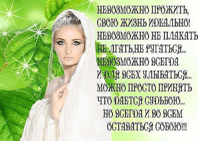Roza - 4  2014  23:11