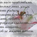 ���� ����, ������, 61 ��� - ��������� 2 ������� 2014 � ������ ���� ����������
